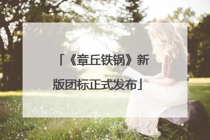 《章丘铁锅》新版团标正式发布