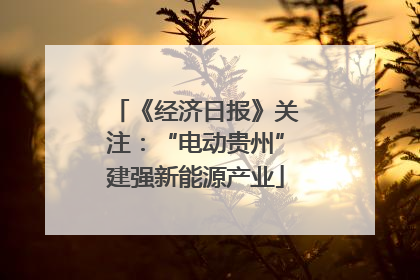 《经济日报》关注：“电动贵州”建强新能源产业