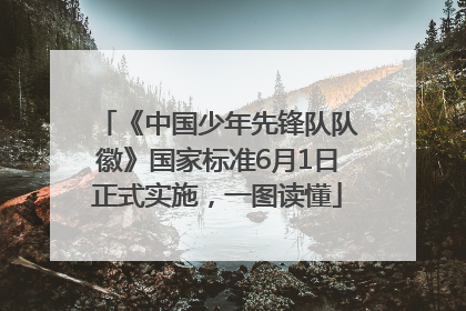 《中国少年先锋队队徽》国家标准6月1日正式实施，一图读懂