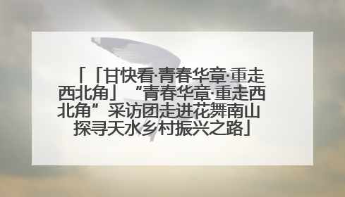 「甘快看·青春华章·重走西北角」“青春华章·重走西北角”采访团走进花舞南山 探寻天水乡村振兴之路