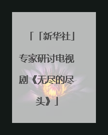 「新华社」专家研讨电视剧《无尽的尽头》