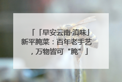 「早安云南·滇味」新平腌菜：百年老手艺，万物皆可“腌”