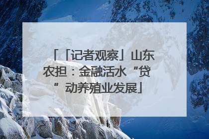「记者观察」山东农担：金融活水“贷”动养殖业发展