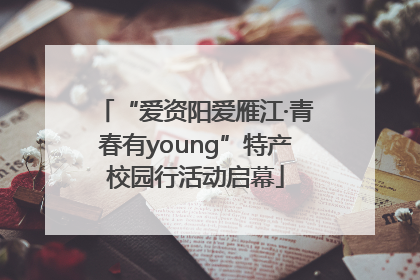 “爱资阳爱雁江·青春有young”特产校园行活动启幕