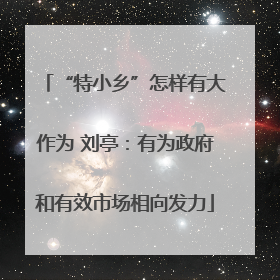 “特小乡”怎样有大作为 刘亭：有为政府和有效市场相向发力