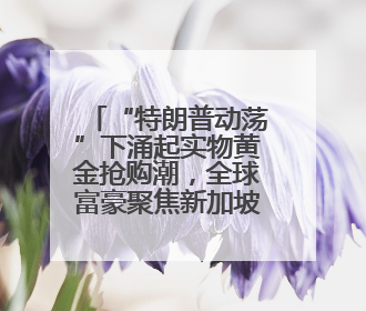 “特朗普动荡”下涌起实物黄金抢购潮，全球富豪聚焦新加坡金库！