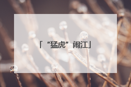“猛虎”闹江