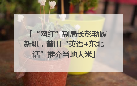 “网红”副局长彭勃履新职，曾用“英语+东北话”推介当地大米
