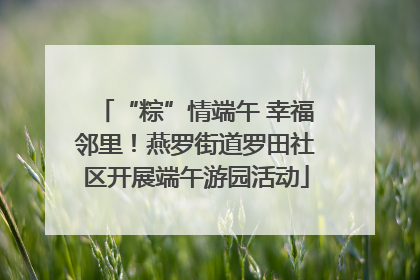 “粽”情端午 幸福邻里！燕罗街道罗田社区开展端午游园活动
