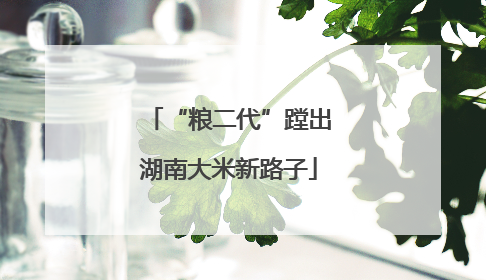 “粮二代”蹚出湖南大米新路子
