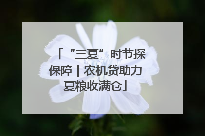 “三夏”时节探保障｜农机贷助力夏粮收满仓