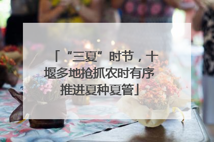 “三夏”时节，十堰多地抢抓农时有序推进夏种夏管