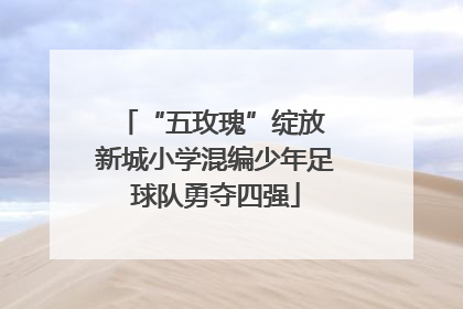 “五玫瑰”绽放 新城小学混编少年足球队勇夺四强