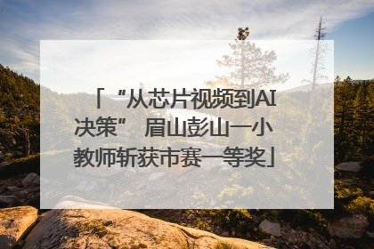 “从芯片视频到AI决策” 眉山彭山一小教师斩获市赛一等奖