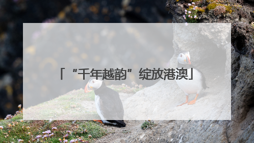“千年越韵”绽放港澳