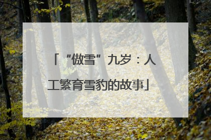 “傲雪”九岁：人工繁育雪豹的故事