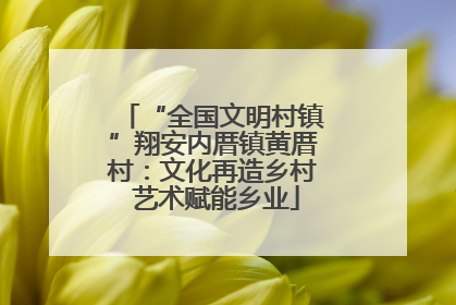 “全国文明村镇”翔安内厝镇黄厝村：文化再造乡村 艺术赋能乡业