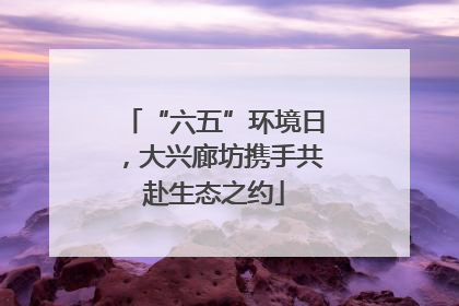 “六五”环境日，大兴廊坊携手共赴生态之约