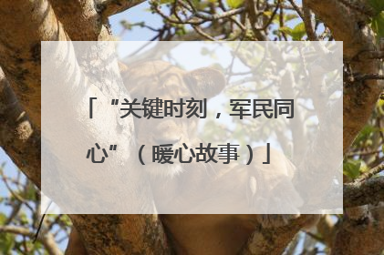 “关键时刻，军民同心”（暖心故事）
