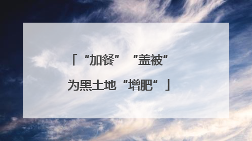 “加餐”“盖被” 为黑土地“增肥”