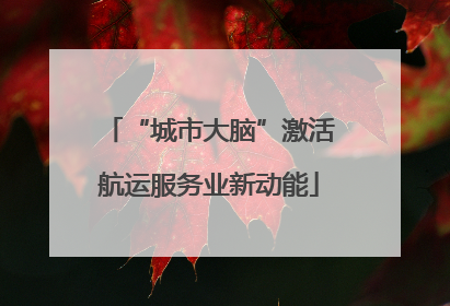 “城市大脑”激活航运服务业新动能
