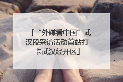 “外媒看中国”武汉段采访活动首站打卡武汉经开区