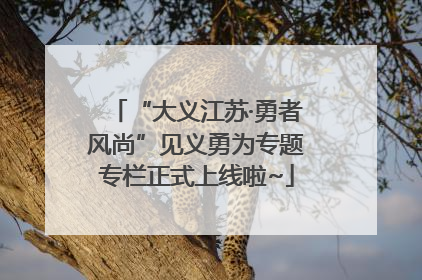 “大义江苏·勇者风尚”见义勇为专题专栏正式上线啦~