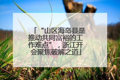 “山区海岛县是推动共同富裕的工作难点”，浙江开会聚焦破解之道