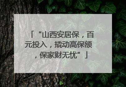 “山西安居保，百元投入，撬动高保额，保家财无忧”