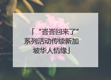 “峇峇回来了”系列活动传续新加坡华人情缘