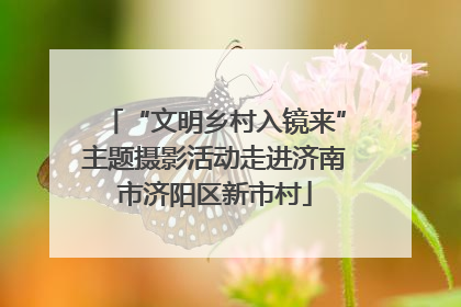 “文明乡村入镜来”主题摄影活动走进济南市济阳区新市村