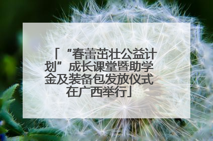 “春蕾茁壮公益计划”成长课堂暨助学金及装备包发放仪式在广西举行