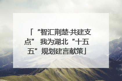 “智汇荆楚·共建支点” 我为湖北“十五五”规划建言献策