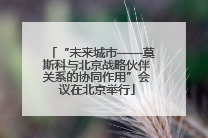 “未来城市——莫斯科与北京战略伙伴关系的协同作用”会议在北京举行