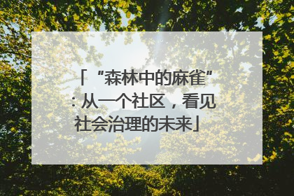 “森林中的麻雀”：从一个社区，看见社会治理的未来
