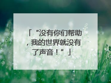 “没有你们帮助，我的世界就没有了声音！”