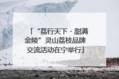 “荔行天下・甜满金陵”灵山荔枝品牌交流活动在宁举行