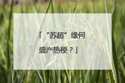 “苏超”缘何盛产热梗？