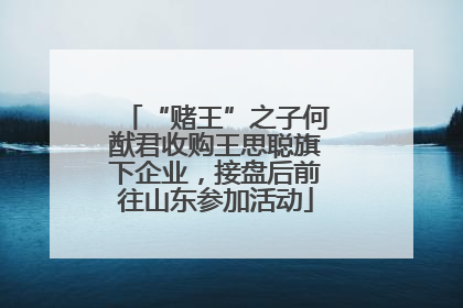 “赌王”之子何猷君收购王思聪旗下企业，接盘后前往山东参加活动