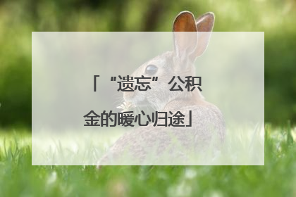 “遗忘”公积金的暖心归途