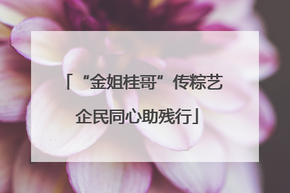 “金姐桂哥”传粽艺 企民同心助残行