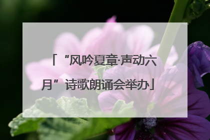 “风吟夏章·声动六月”诗歌朗诵会举办