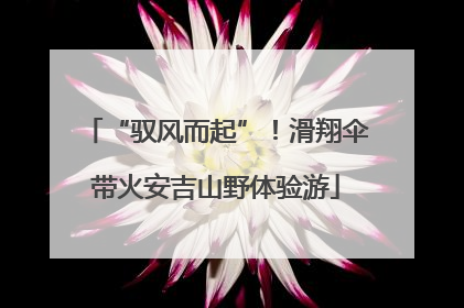 “驭风而起”！滑翔伞带火安吉山野体验游