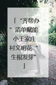 “齐帮办”清单赋能 小王家庄村文明花“生根发芽”