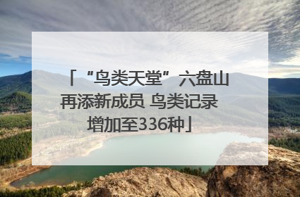 “鸟类天堂”六盘山再添新成员 鸟类记录增加至336种