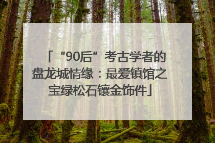 “90后”考古学者的盘龙城情缘：最爱镇馆之宝绿松石镶金饰件