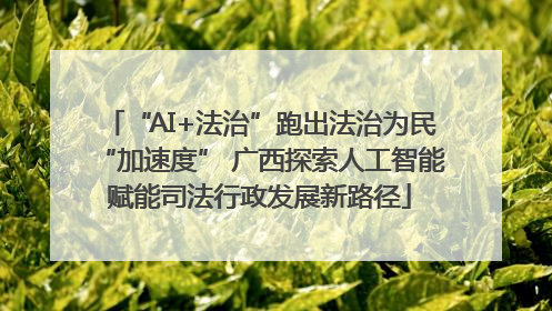 “AI+法治”跑出法治为民“加速度” 广西探索人工智能赋能司法行政发展新路径
