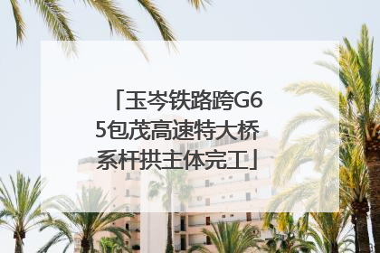 玉岑铁路跨G65包茂高速特大桥系杆拱主体完工