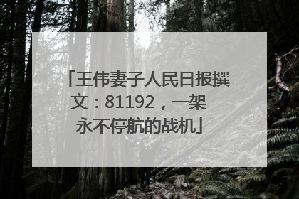 王伟妻子人民日报撰文：81192，一架永不停航的战机