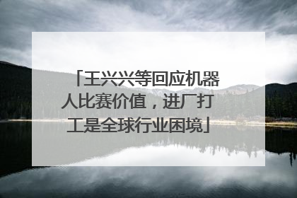 王兴兴等回应机器人比赛价值，进厂打工是全球行业困境